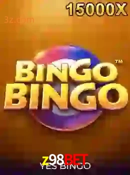 bingobingo